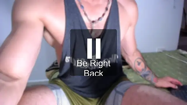 damn_fox webcam