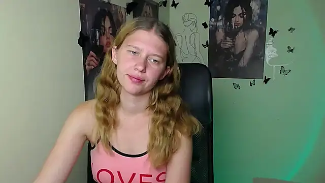 StellaCRL webcam