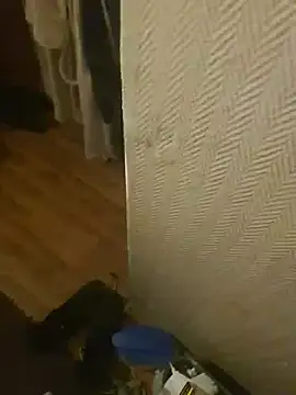 gg87123 webcam