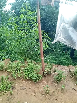 ngockem webcam