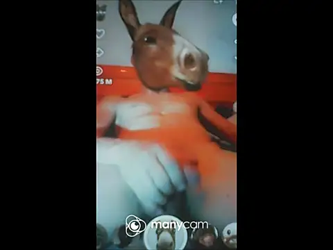 Fundy37 webcam