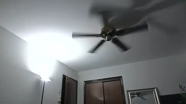 WetFlower69 webcam