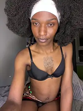 Orara - Trans webcam sex chat