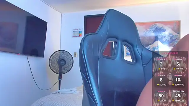 RJBarto webcam