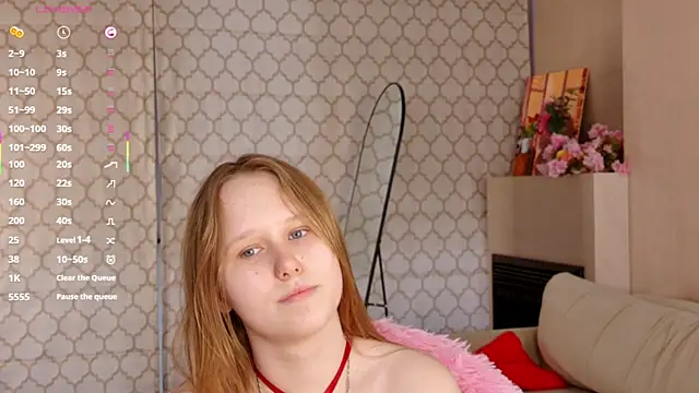 VoidElaris webcam