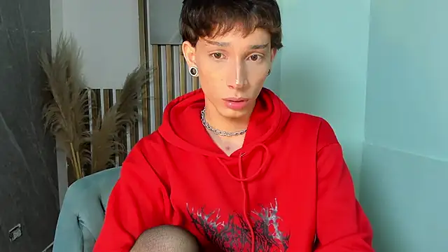 AndyWiilliams webcam