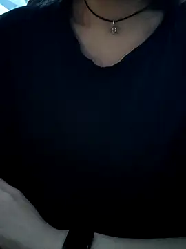 Aashikalaa webcam