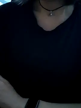 Aashikalaa webcam