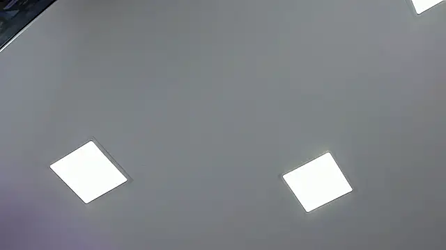 sven_basquia webcam