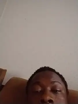 Blu334 webcam