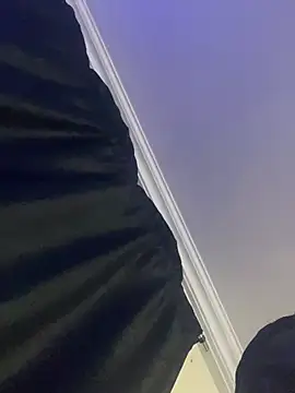 elstallione webcam