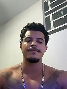Sanicrt webcam