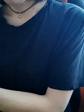Aashikalaa webcam