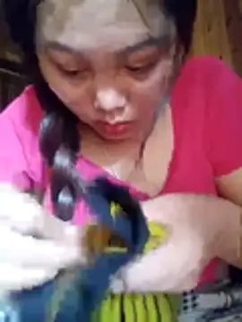 Tina-i webcam