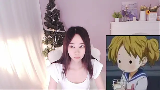 hall-33 webcam