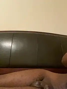 ThickDic28 webcam
