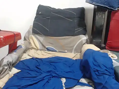 bull_blackponse webcam