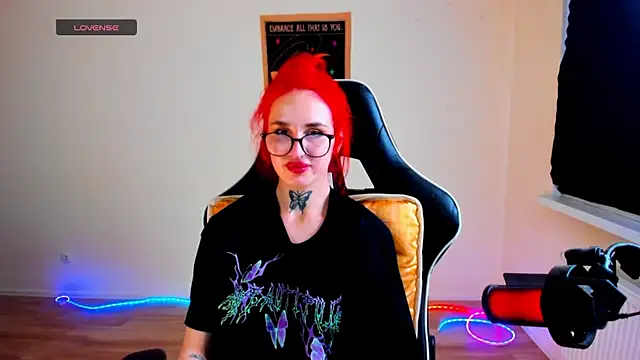 your_tora webcam