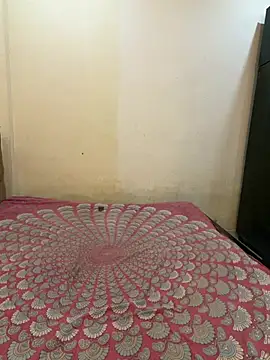 PayalDesire webcam