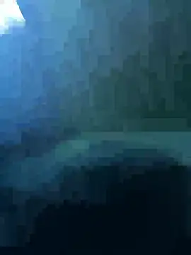 zoladj webcam