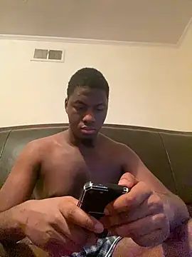ThickDic28 webcam
