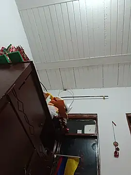 Ann_Houston_ webcam
