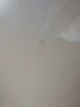 Alleinzuhause webcam