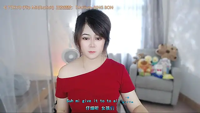 Fan_ting webcam