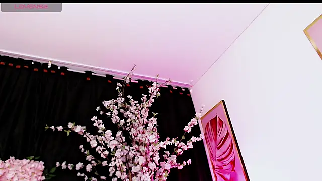 Lunyhose webcam