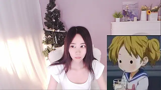 hall-33 webcam