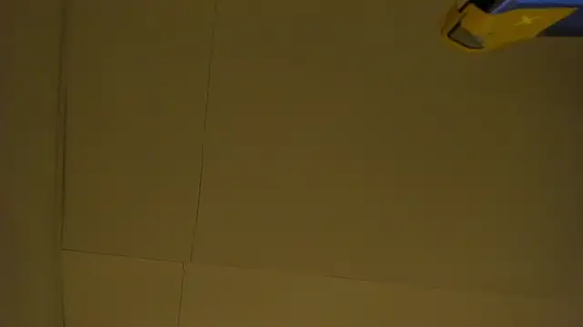 SkyCollins webcam