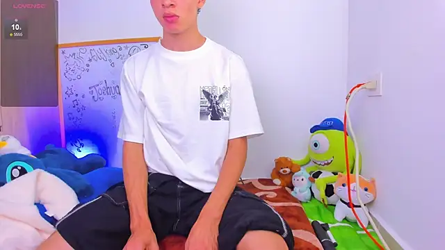Ely_king webcam