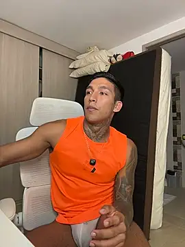 sendfer webcam