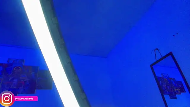 Nicorobinn webcam