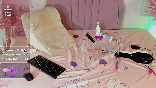 Nalapalmer webcam