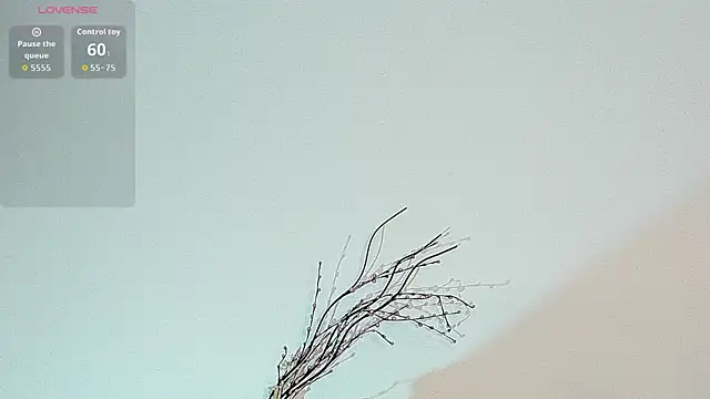meli_rosee webcam