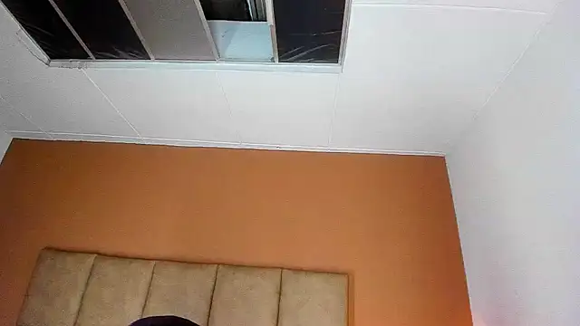 Mini_Rouse webcam