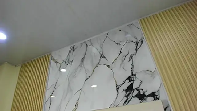 Duolux_HL webcam