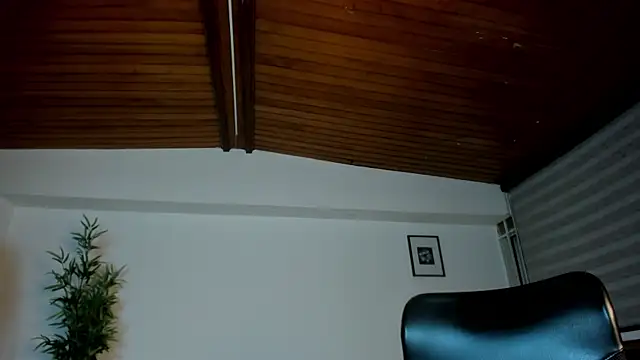 zoe_linss webcam