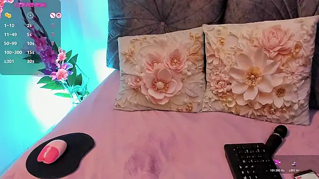 NayeCloud webcam