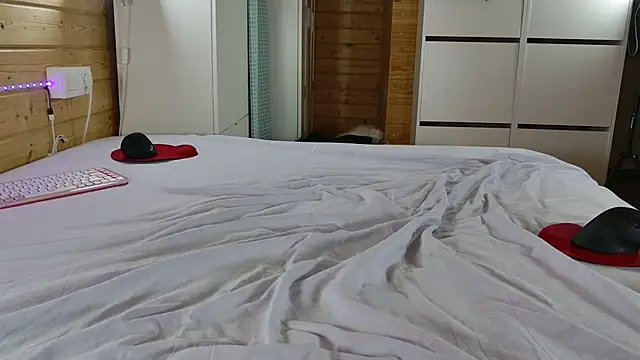 wild41 webcam