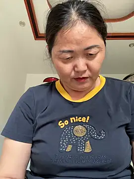 hannzn webcam