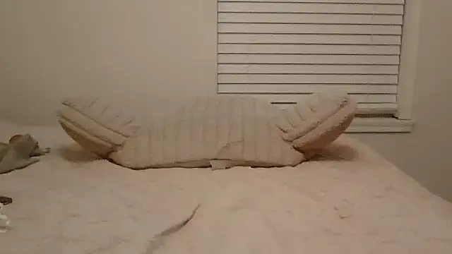 beautylovess webcam