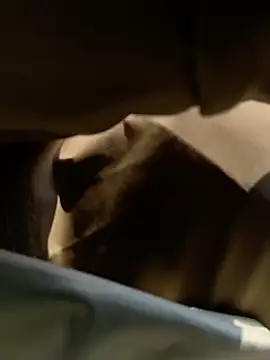 okgirl_23 webcam