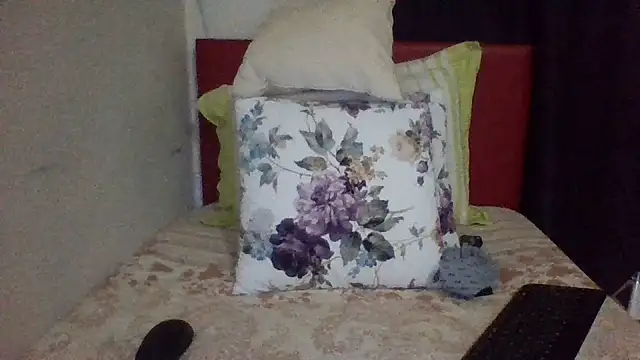 st206boy webcam