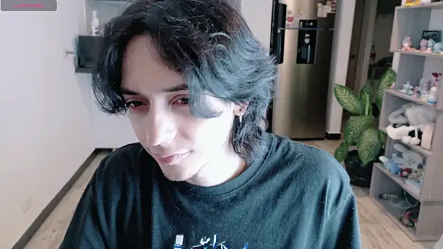 sai_l01 webcam