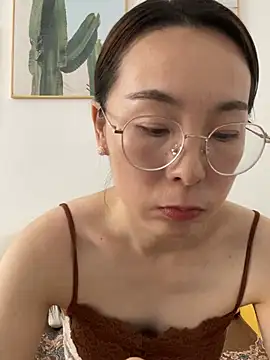 you-520 webcam