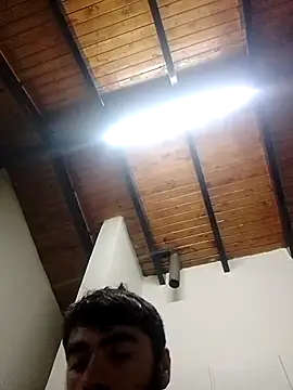 Luc0550 webcam