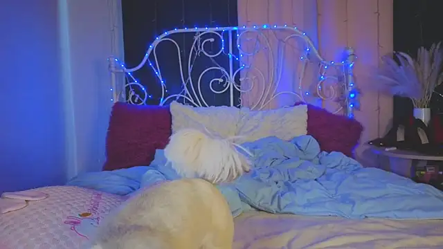 Funny_Bunny webcam