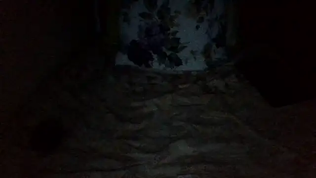 st206boy webcam